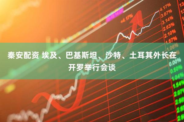 秦安配资 埃及、巴基斯坦、沙特、土耳其外长在开罗举行会谈