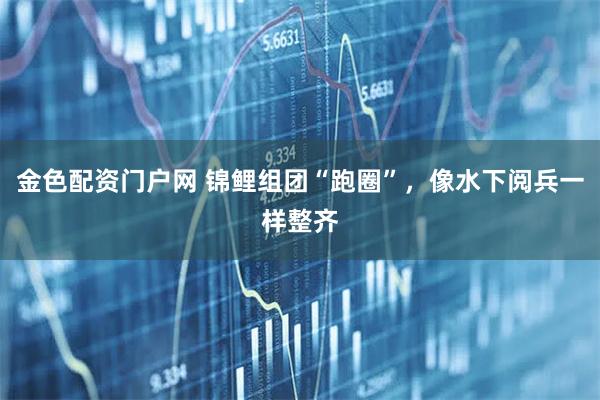 金色配资门户网 锦鲤组团“跑圈”，像水下阅兵一样整齐