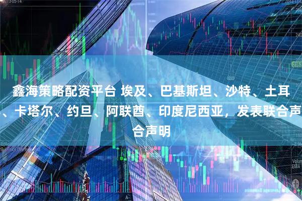 鑫海策略配资平台 埃及、巴基斯坦、沙特、土耳其、卡塔尔、约旦、阿联酋、印度尼西亚，发表联合声明